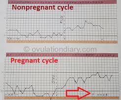 how to calculate the ovulation with bbt examples