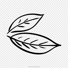 Download 7,724 adult coloring pages stock illustrations, vectors & clipart for free or amazingly low rates! Bay Leaf Coloring Book Drawing Bay Laurel Leaf Soup Food Png Pngegg