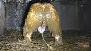 Guy dunks his ass in cow shit under a cowshed - RatedGross.com
