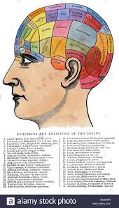 physiognomy and phrenology a phrenological chart with