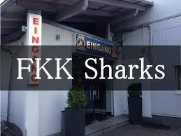 Fkk Sharksへの行き方 ドイツ フランクフルト中央駅から ドイツのフランクフルトにあるfkkサウナクラブに行ってきた2