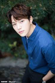 ボード インフィニット のピン