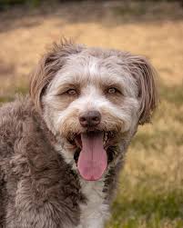 Chris DeRosa (@derosa_photos) • Instagram photos and videos