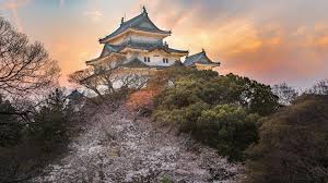 Home > favorite wallpapers galleries > osaka castle wallpaper. Nature Landscape Building Trees Asian Architecture Pagoda Sunset Forest Japan Osaka Castle Osaka Wallpaper Resolution 1920x1080 Id 515202 Wallha Com