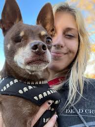 Is anyone looking for a dog walker or pet sitter in Manchester, NH area?