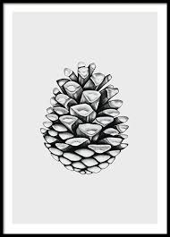 Poster Avec Illustration En Noir Et Blanc Affiche Avec Pomme De Pin Dessinee A La Main Pomme De Pin Dessin Pomme De Pin Noir Et Blanc