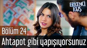 erkenci kus 24 bolum ahtapot gibi yapisiyorsunuz youtube
