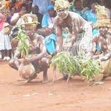 Image result for Bambekea