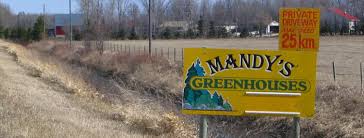 The weather forecast for mount tyndall is: Speaking Seed Sales Locations Mandy S Greenhouse
