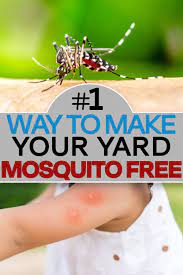 Pin On Gadgets Diy Mosquito Repellent Candle Mosquito Diy Mosquito Repellent