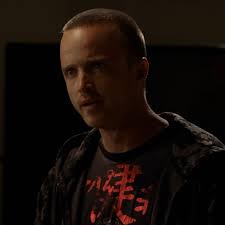 Aaron Paul as Jesse Pinkman in "Breaking Bad" : r/popculturechat