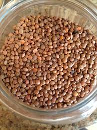 Brown Lentils Have 26g Of Protein And 31g Of Fibers In 100g Plus They Are Loaded With Vitam Vegan Dog Food Lentil Nutrition Facts Watermelon Nutrition Facts