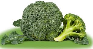 Resultado de imagen para BROCOLO