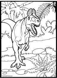 20 pages of animals you can color that you will recognize from the channel! Welcome To Dover Publications Coloring Animals Coloring Books Coloring Pages Doodles