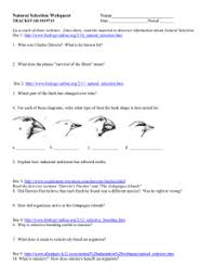 In other words, artificial selection is teleological and natural selection is not teleological. Natural Selection Webquest Evolution