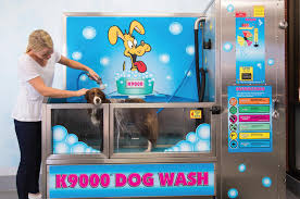 Maybe you would like to learn more about one of these? Diy Coin Operated Dog Wash Stations Make Their Debut In The U S
