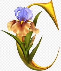 1104x1080 download letter s wallpapers to your cell phone beautiful 1104×1080> · download. Alphabet Lettering C Love Among The Gods Myths Of Relationship Png 800x961px Alphabet Alphabet Pasta Cattleya