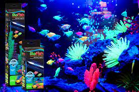 Pin On Glofish