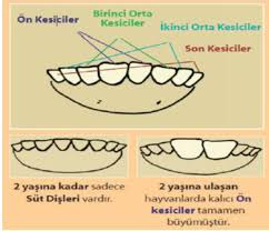 Kirikkale Universitesi