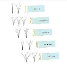 Ideal Volume Fans They Are Everything Teaching The Art Of Ideal Fan Making With Step By Step Process Is One Of My Lash Extensions Eyelash Extensions Lashes