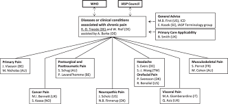 Organizational Chart Of Task Force Iasp And Who