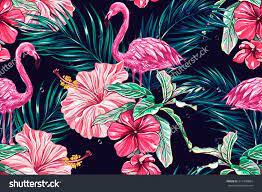 Find over 100+ of the best free floral pattern images. Tropical Floral Pattern Desktop Wallpaper