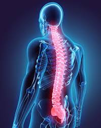 Image result for Spinal Trauma