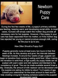 Newborn Puppy Care Newborn Puppy Care Newborn Puppies Puppy Care