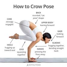 Sign In Easy Yoga Workouts Yoga For Beginners Yoga Help