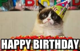 101 Funny Cat Birthday Memes For The Feline Lovers In Your Life Black metal birthday beautiful cat meme happy birthday happy.