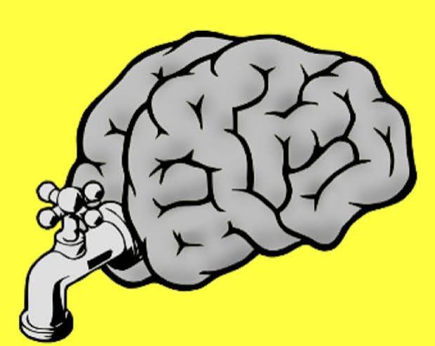 Brain Drain And Its Impact On The Economics Of A Developing Country