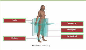 Subcutaneous emphysema (sce, se) occurs when gas or air travels under the skin.subcutaneous refers to the tissue beneath the skin, and emphysema refers to trapped air. A P Ch 1 Review Part 1 Flashcards Quizlet