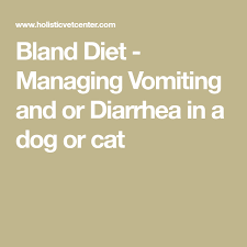 These could be symptoms of a food allergy. Bland Diet Managing Vomiting And Or Diarrhea In A Dog Or Cat In 2020 Bland Diet Bland Diet