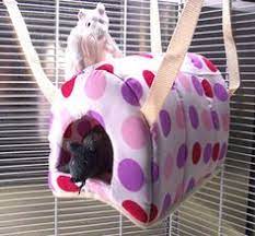 Ferret, rat, and small animal, hammocks. 49 Ferret Hammocks Ideas Ferret Cute Ferrets Small Pets