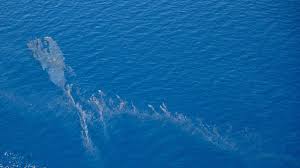 See full list on wikihow.com French Authorities Race To Clean Up Oil Spill Drifting To Corsica S Coast Cnn