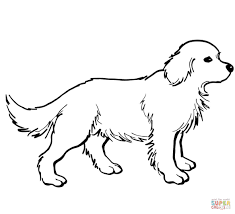 We did not find results for: Golden Retriever Coloring Pages Coloring Home