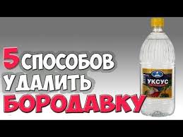 как избавиться от бородавок под мышками в домашних условиях Vidy Borodavok Ih Osobennosti I Mesta Lokalizacii Medikamenty I Narodnye Sredstva V Borbe S Borodavkami Primenenie Zdorove Nauka Zhizni Udalenie Borodavok