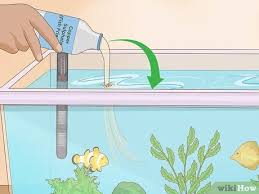 Snails in aquarium, good or bad? 3 Ways To Get Rid Of Snails Wikihow