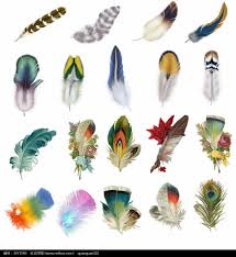 Birds Of A Feather Movie Cast Pin By Seval Abbygate On Suluboya7 Feather Art Feather Different Drawing Styles