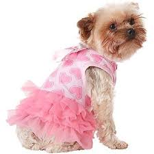 Pet Supplies Pet Food And Pet Products From Petco Com Dog Dresses Puppy Clothes Pet Clothes