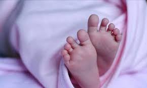 Tetapi, jika yesus sama dengan tuhan yang maha kuasa, dia akan mempunyai maklumat yang sama. Bapa Tikam Bayi Perempuan 20 Bulan Ditahan Polis Mykmu Net