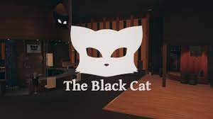 Vrchat black cat