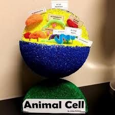 Check spelling or type a new query. Animalcell Hashtag On Twitter