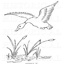 Black And White Printable Bird Pictures Wetlands Habitat Coloring Page Wetlands Habitat Coloring Page Free Printable Math Worksheets Mibb Line Art Drawings Black And White Lines Line Art