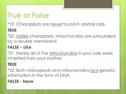 The chloroplast allows plants to harvest energy from sunlight to carry on a process. 7 2 Cell Structure Describe The Structure And Function Of All Those Crazy Organelles Any Question With An Asterisk Need To Know Ppt Video Online Download