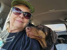 Let's welcome our new members! You can publish your works