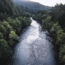 Nothing says love like a homemade louisiana meal that . The State Of The Chemical Industry Three Trends Mckinsey