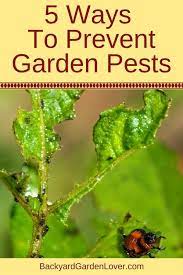 Vegetable Garden Pest Control Tricks Every Gardener Needs To Know Garden Pest Control Garden Pests Organic Vegetable Garden