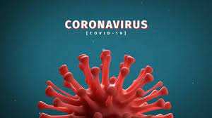 The day is reset after midnight gmt+0. Coronavirus Covid 19 Handbook Germany