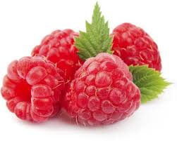 Check spelling or type a new query. Priyathams Importted Red Raspberry Plant Seed 99 Per Packet Buy Online In Angola At Angola Desertcart Com Productid 153889402